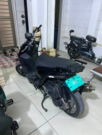 سكنس جبلي • ٥٩ • مكفوله