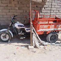 ستوته • كلك • سوك شيوخ