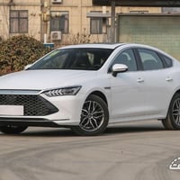 الفلوجه • جامعات المشرق والبيان • خصوصي ٢٠٢٥