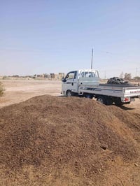 دمن للبيع فول نصافه ترس فول واصل مزرعه تلميه طليحه حفريه كل المناطق ال...