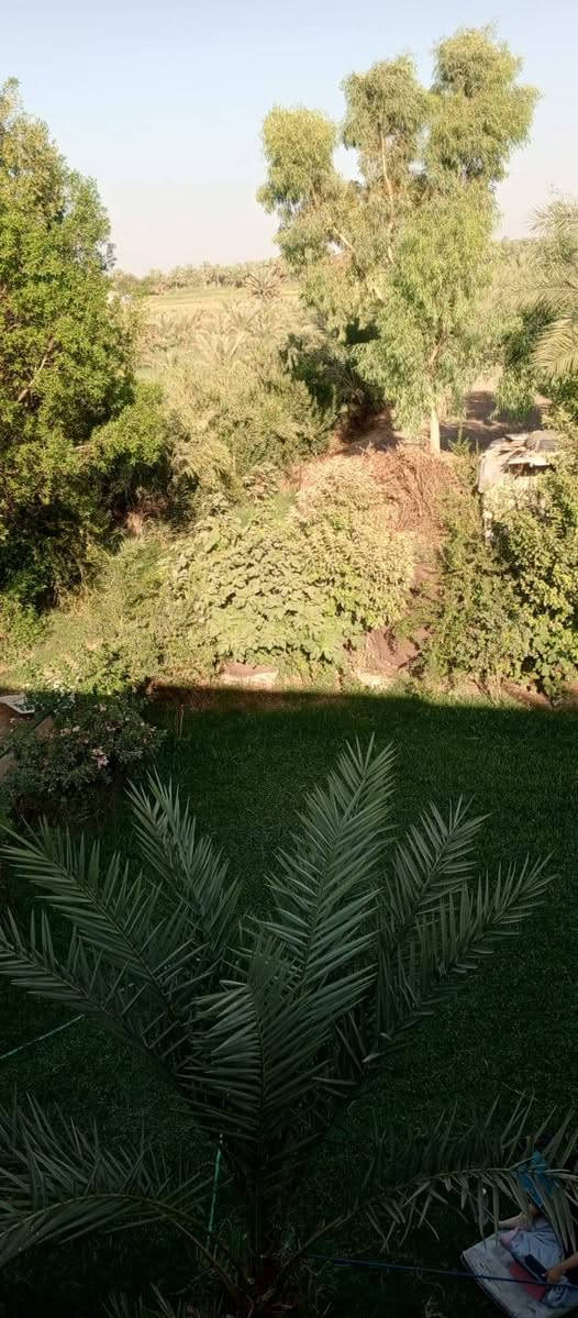 ابسسسسسستان لبيع 3دونم خدمات تبليط خدمات كهرباء ماء ساقي متواجد 24ساعة مطور خاض بلبسسستان  موجود بيت دخل بستان سند 25 تحويل مباشر لشراء اتصال مباشر *********** المنطقة قريت يونسسس على طريق المطار
