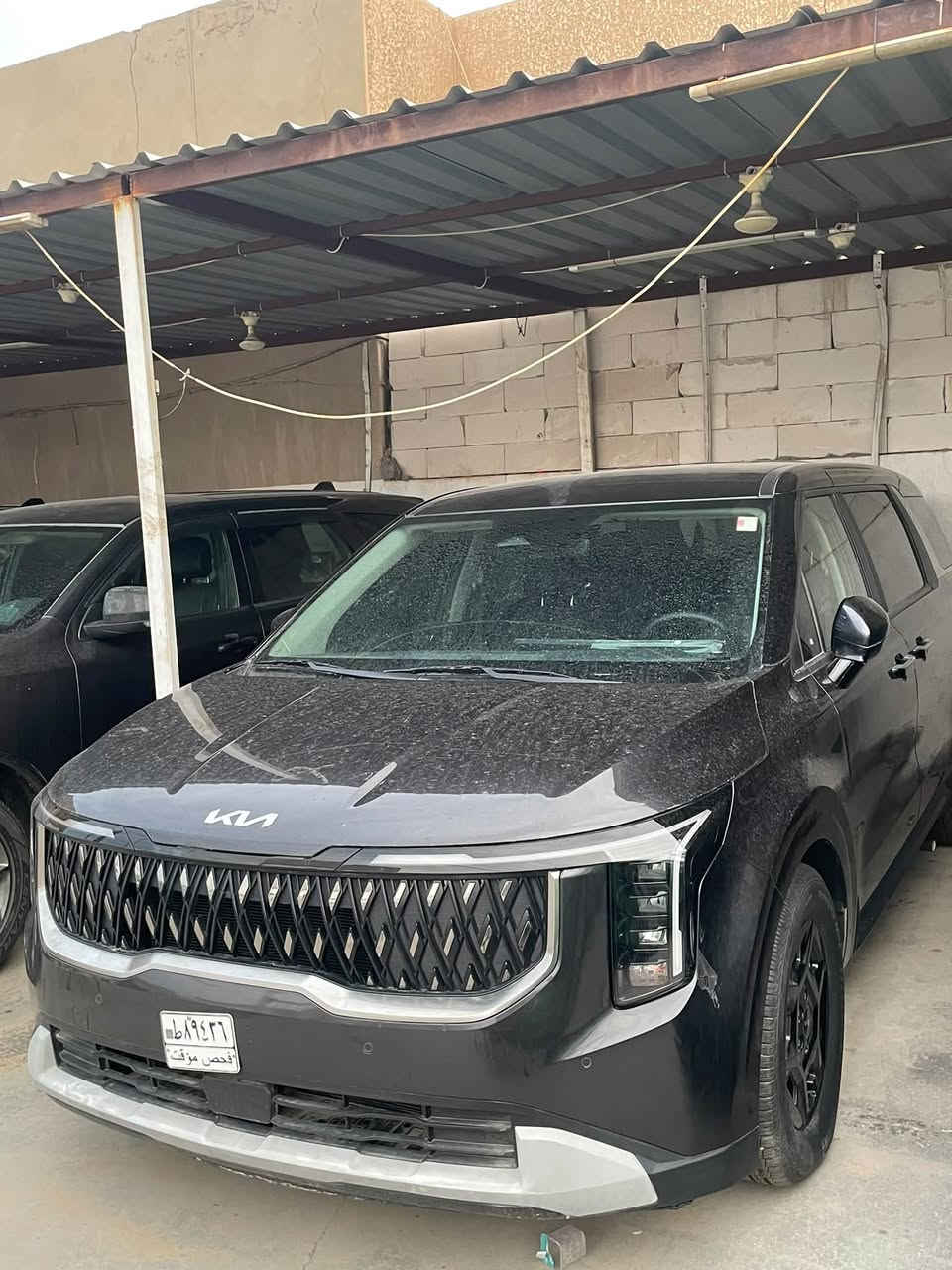 كارنفال • موديل ٢٥ • بدون رقم
