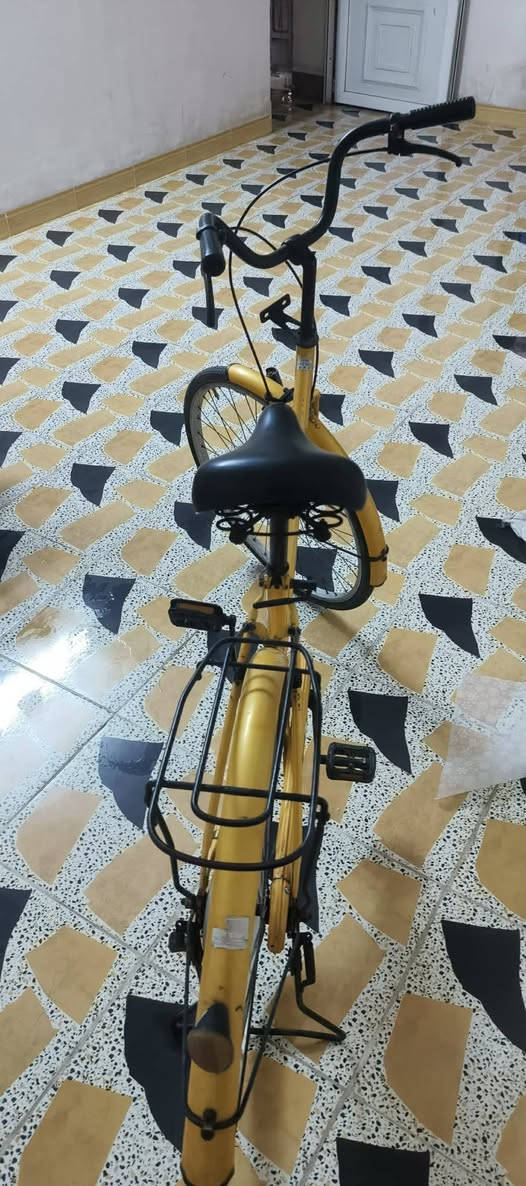 مبرده سوبر شغاله شرط ثلج +باسكل جديد سعر مناسب مبرده100 وبيه مجال +باسكل80
***********
