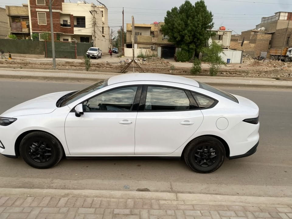 سيل ٥ • ممشا ١٦٠٠٠ • رقم بغداد