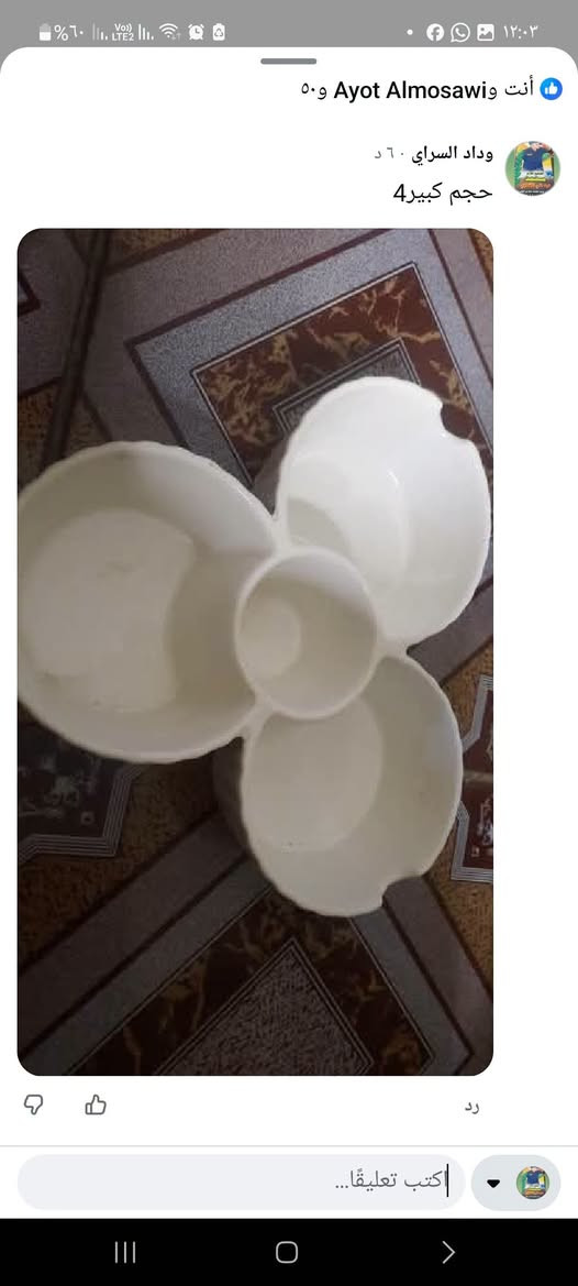 فرفوري سياحي +فازات جمله ومفرد جمله كارتون 35سياحي خشن وسط
فازات ب30كارتون واكومفردقطع

للحجز ***********
