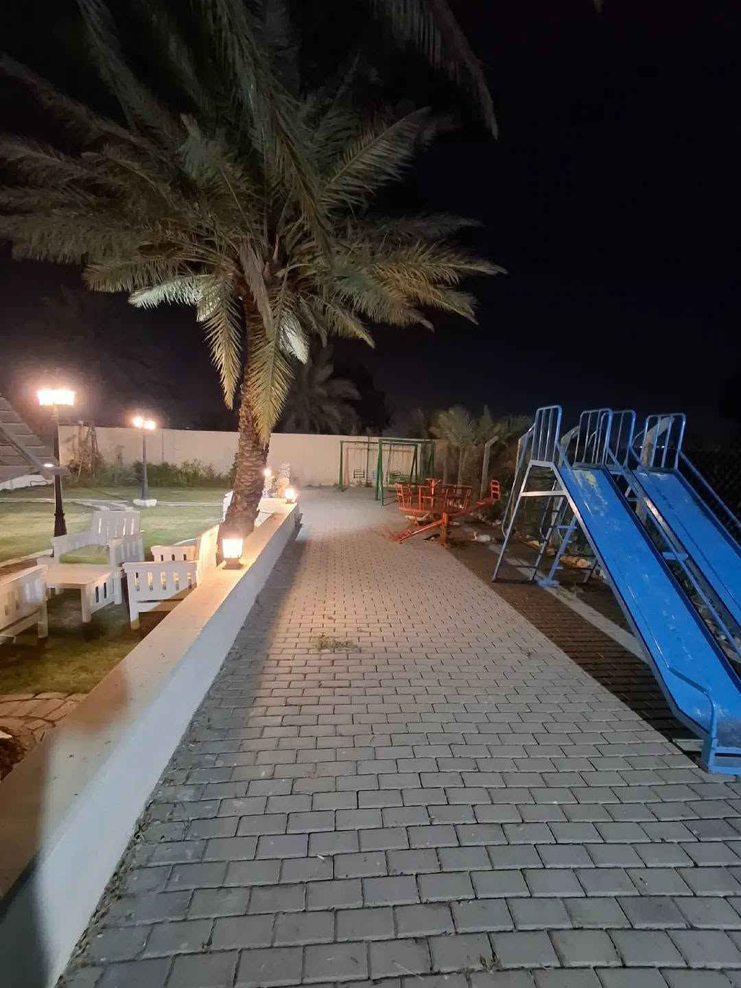 الكرغولية • دونم وربع • سند ٢٥