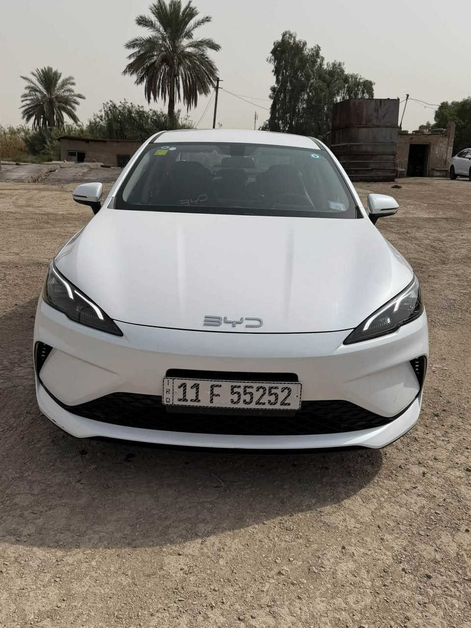 سيل 5 • ٢٠٢٥ • زيونه