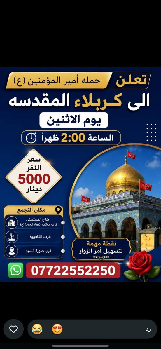 حملة أمير المؤمنين • كربلاء • النجف والكوفة