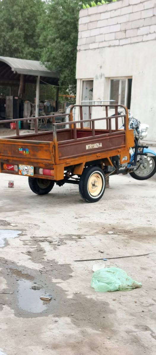 ستوته • ٢٠١٢ • اوراق مداور