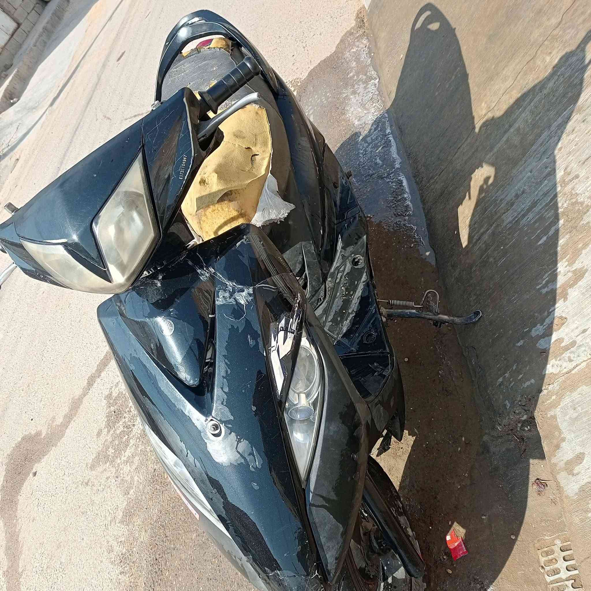ثعلب • دراجة • للبيع