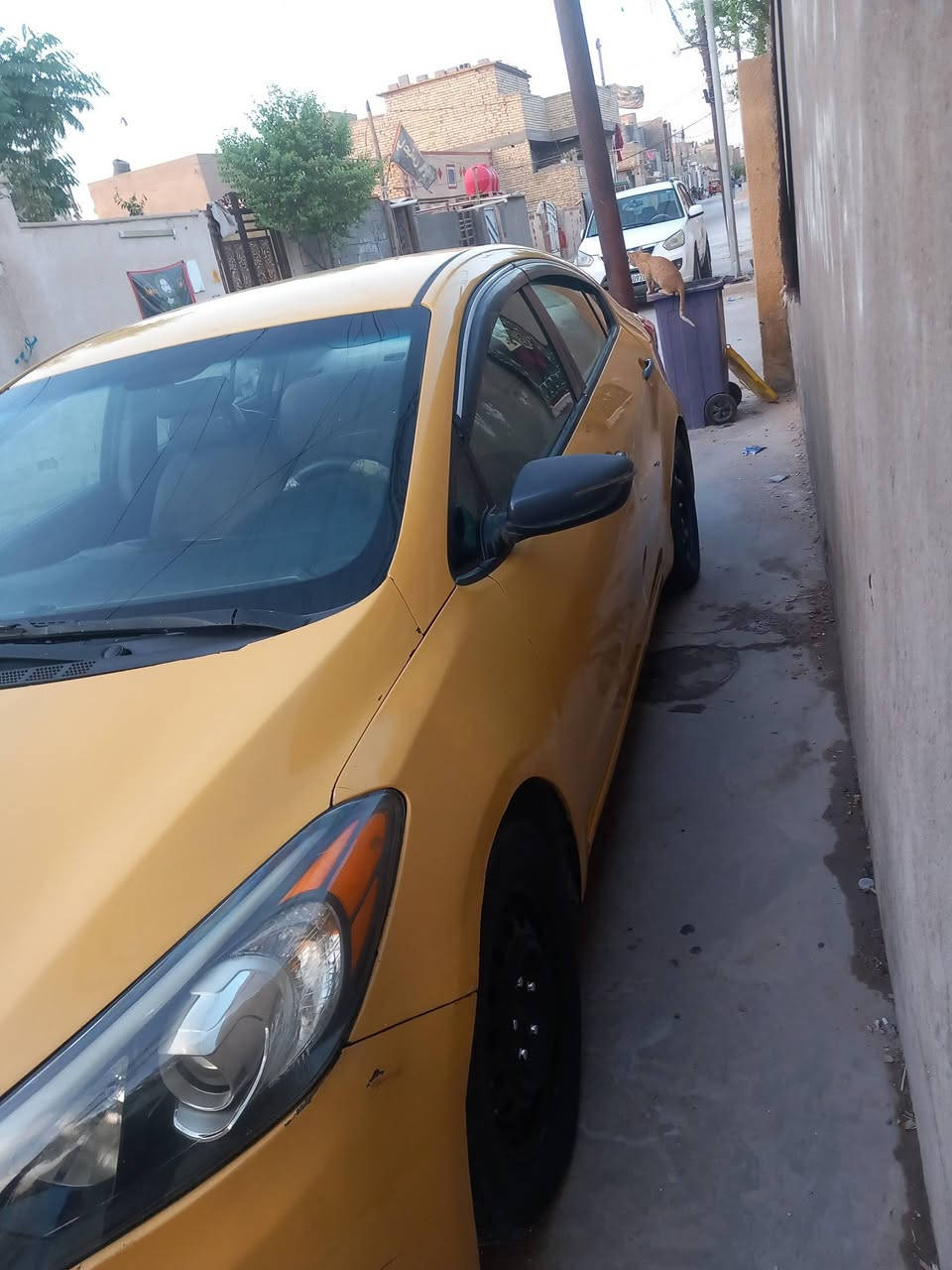 سلام عليكم عندي فورتي موديل ١٦سياره حلوه اريد مراوس بكيه ***********
