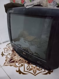تحفة • تلفزيون