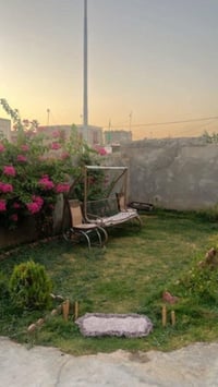 طابو زراعي • ٢٨٠م • معاملة تطويب