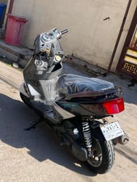 سكنس فحل • شغالة • سلف