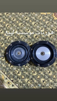 هورنات • عرف A • مؤسسه