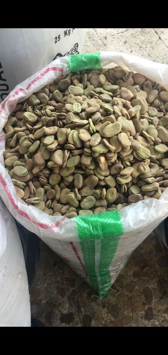 بذور • جلايفوسيت • برسيم مصري
