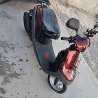بوتين • نضيف • كدام العين