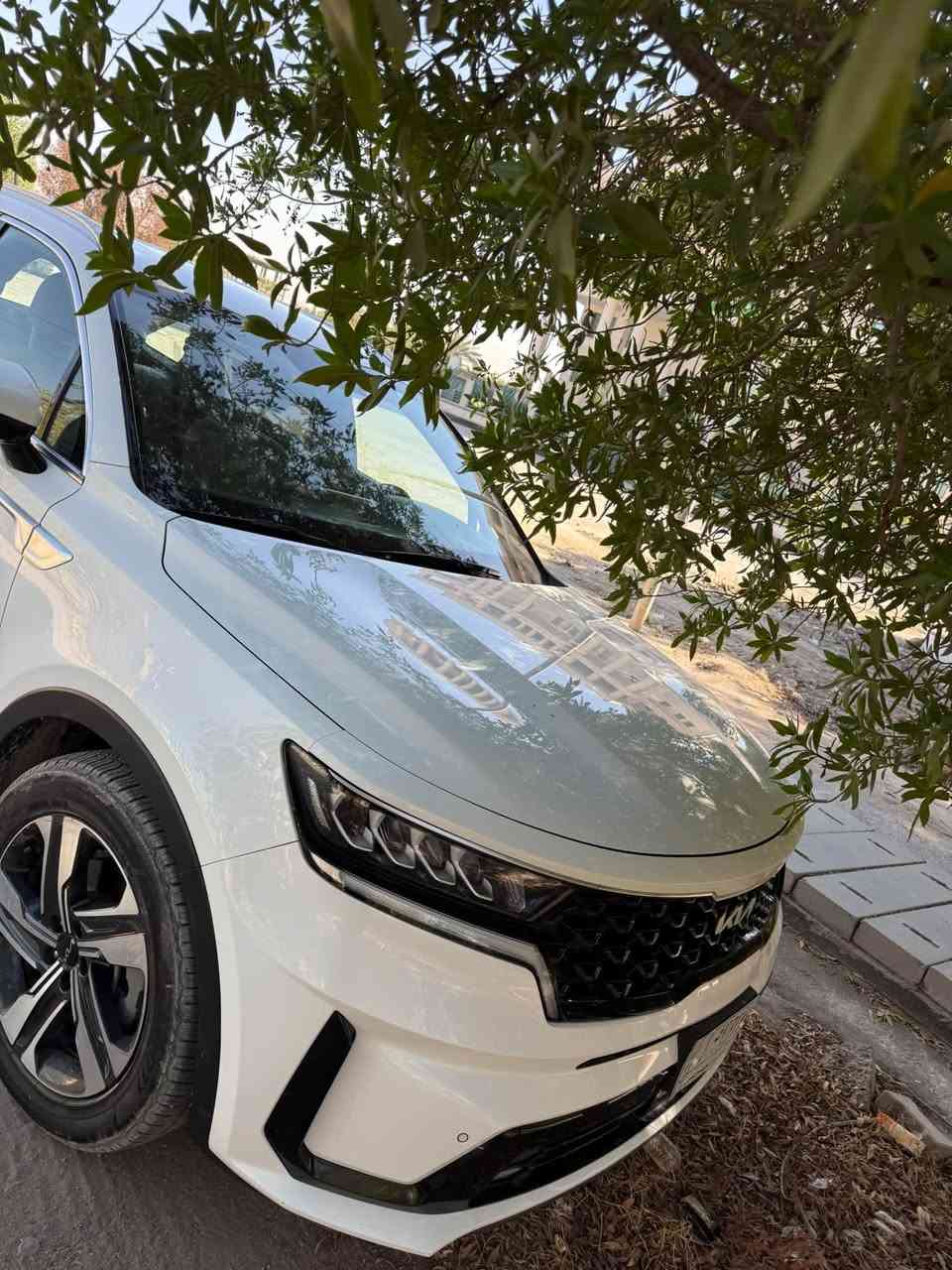 � كيا سورينتو 2023 | 

✨ مواصفات مميزة وحالة ممتازة

▪️ موديل 2023
▪️ محرك 3.5 لتر
▪️ كير موس 
▪️ بدون فتحة سقف
▪️ مكفولة
▪️ السيارة نظيفة ومرتبة
▪️ شخوط بسيطة بالدعامية
▪️ طعجة بسيطة بالباب، بدون تعديل كما مبين بالصور 
▪️ الحالة العامة ممتازة
ماشيه 67 الف
رقم بابل
مكان السيارة الحله 
📌 سيارة نظيفة ، وملاحظاتها بسيطة وواضحة.
السعر265 وبيها مجال 

للاستفسار والتفاصيل التواصل 
***********
