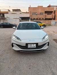سيل6 • ٢٠٢٥ • رقم اربيل