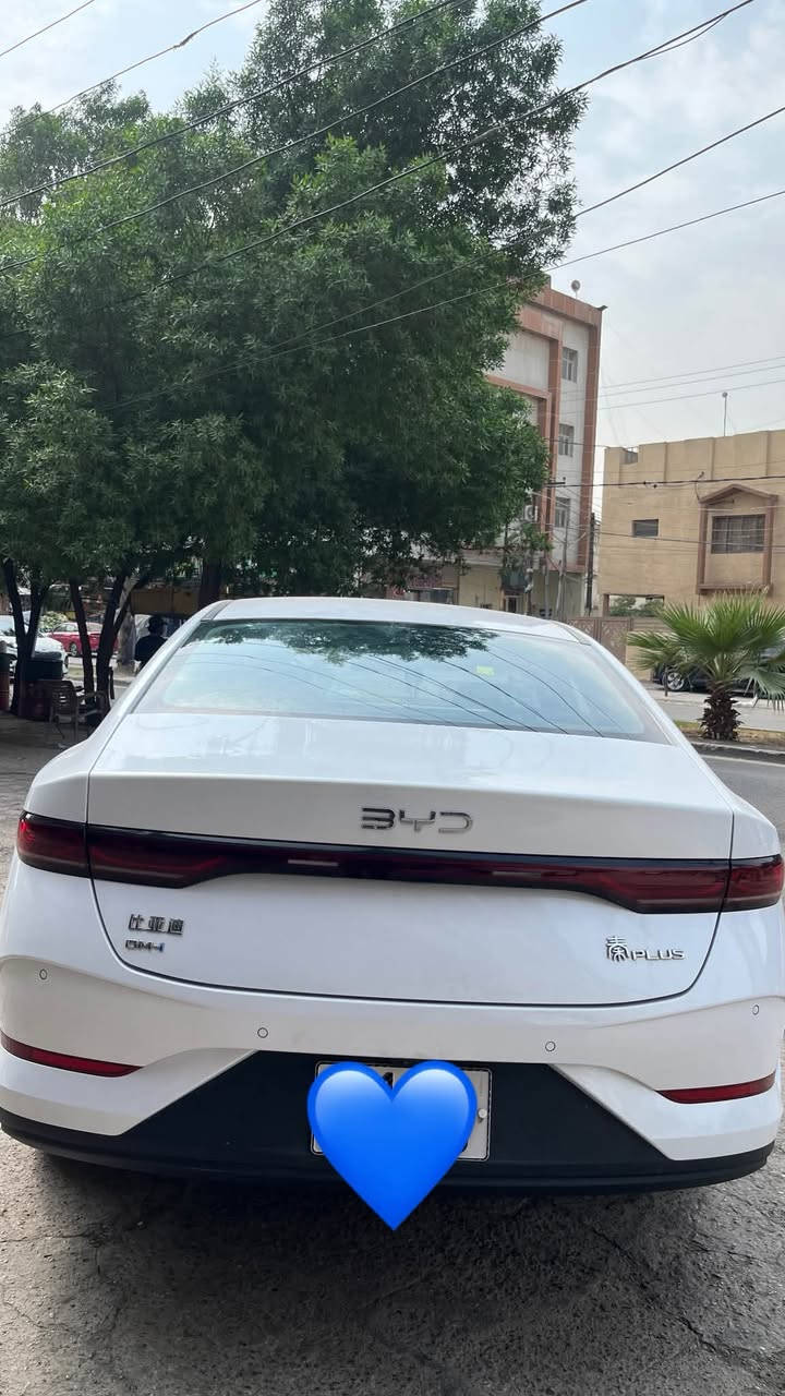 كن بلاص • ٢٠٢٥ • ١٧ الف