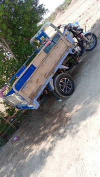 ستوته • جمره • فحل