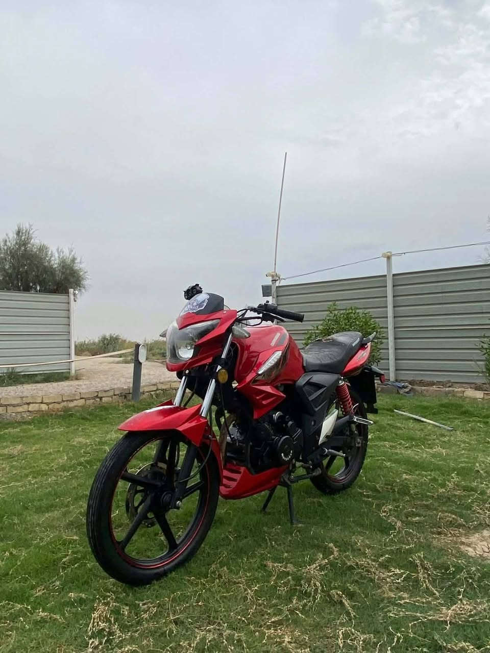 بطح • ٢٠٢٣ • مدفوع الكمرك