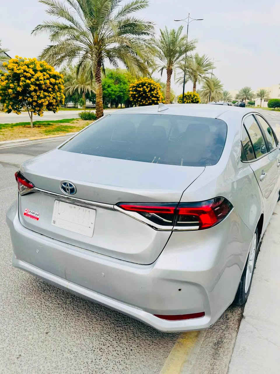 موديل 23 امريكي هايبرد
السعر 135 وبيها مجال 

الاستفسار والاتصال ***********
