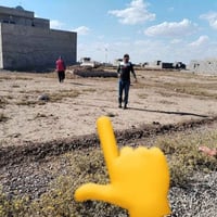 بكاع حسن الحميد • زراعي • ٢٥٠م