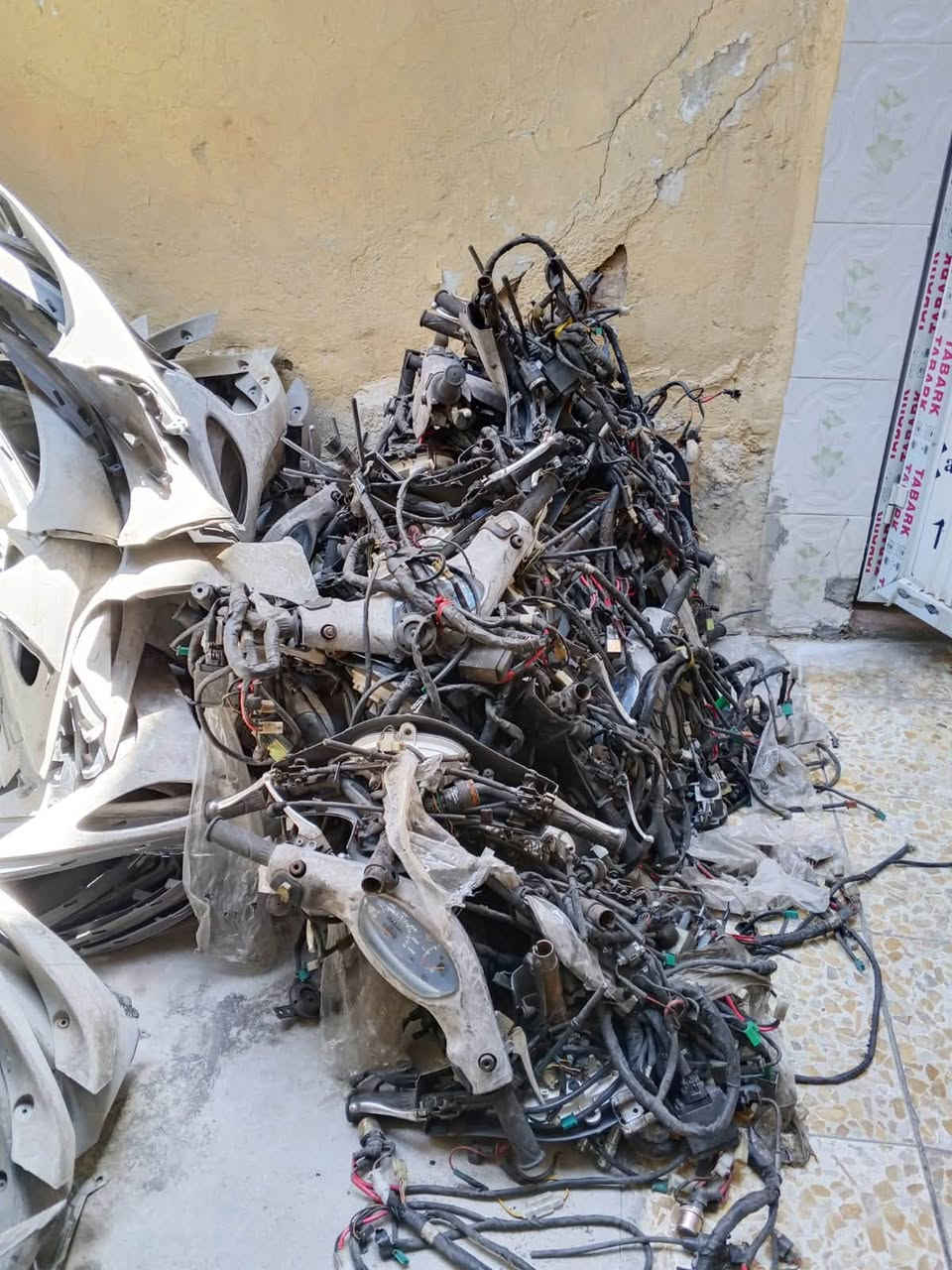 لحاية وترايش مال منغولي عدد 96
وروس مال منغولي كاملات ستيرن وضفيرة 
ودشبول كامل ***********
