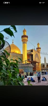 حملة علاوي • النجف الاشرف • زيارة وادي السلام