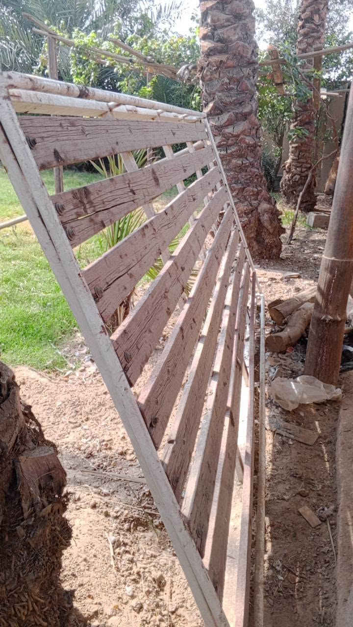 سيبايا • نيسان • جديده