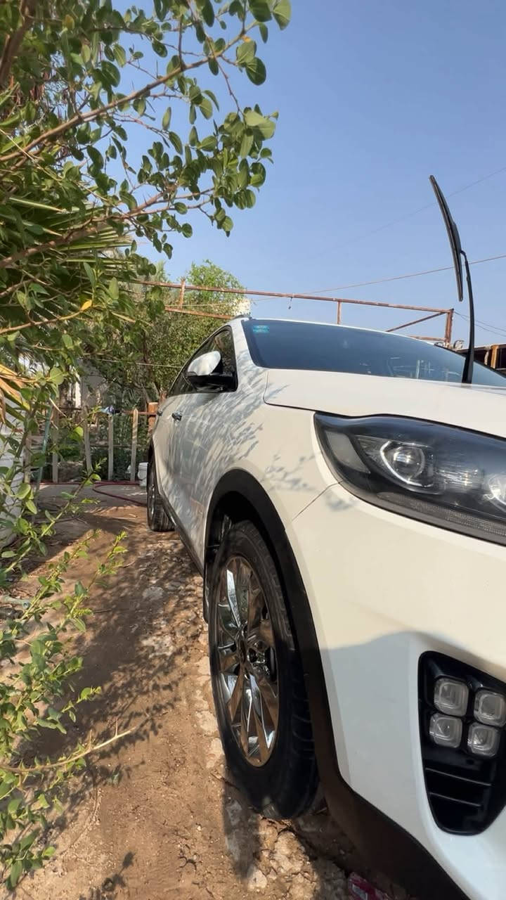 سونتر ٢٠١٩ سنوية ورقم جديدة كفاله عامه السياره من اي ضربه  ماشيه ١٣٧km عنواني بصره
*********** للاستفسار

