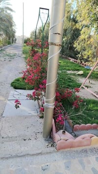 بيت لل بيع موقعه جسر الفرنسي  اكثر من نص دونم ١٥٠٠م قبل جسر الفرنسي عل...