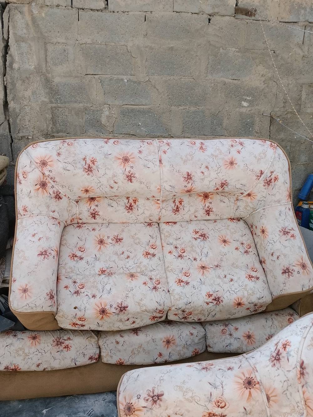 قنفات لبيع بسعر مناسب عنوان بغداد الخطيب الزراعي ‏‪***********‬‏
*********** مراسلة واتساب