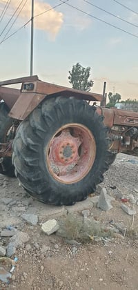 عنتر ١٩٨٨ • كله شرط • قضاء داقوق