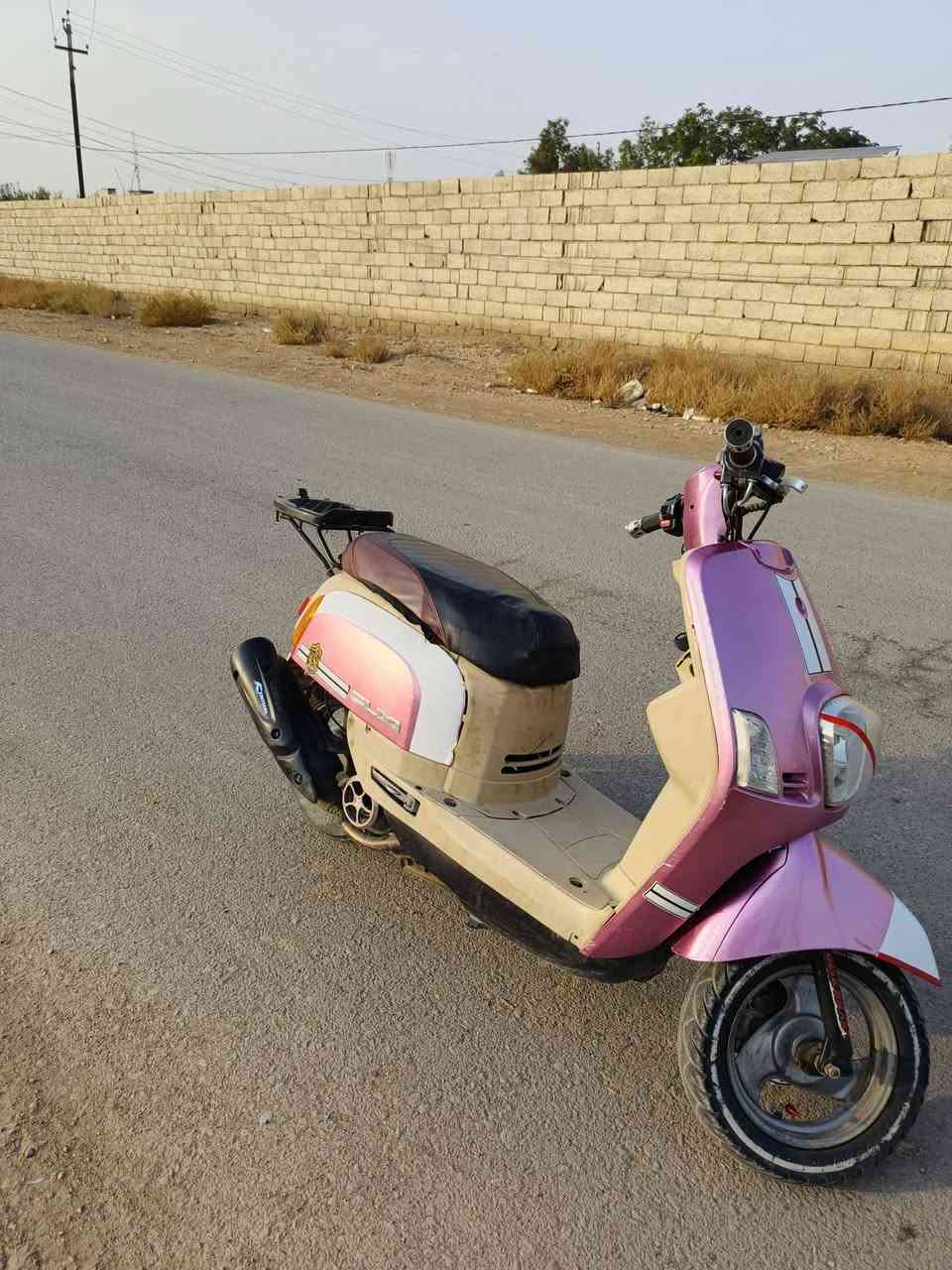 ماكس بوليس • ٢٠٠٨ • نقص بسيط