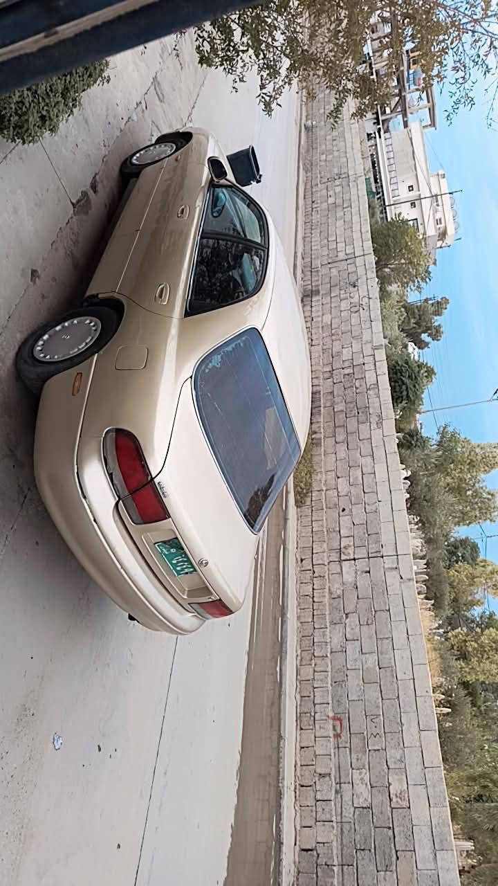 مازده فاسوليا • ١٩٩٤ • واتساب