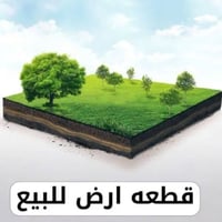 شارع فلسطين • محلة ٥٠٦ ز ٢٥ • ١٦٥م