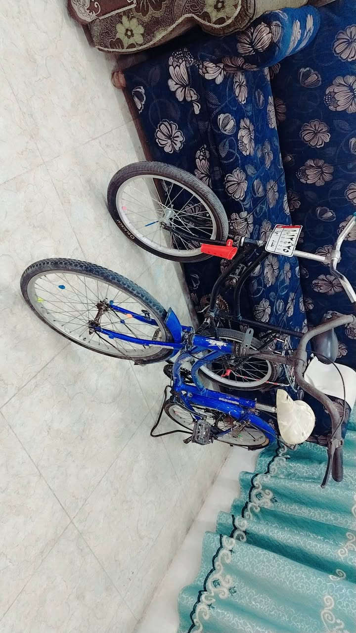 السلام عليكم
٤ بايسكلات و٢ سكوتر كلهن ب٦٥الف مكاني بغداد الشعب شارع الجزائر ***********
