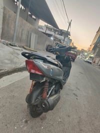 ثعلب • نضيفة • كابريتر تعبانة