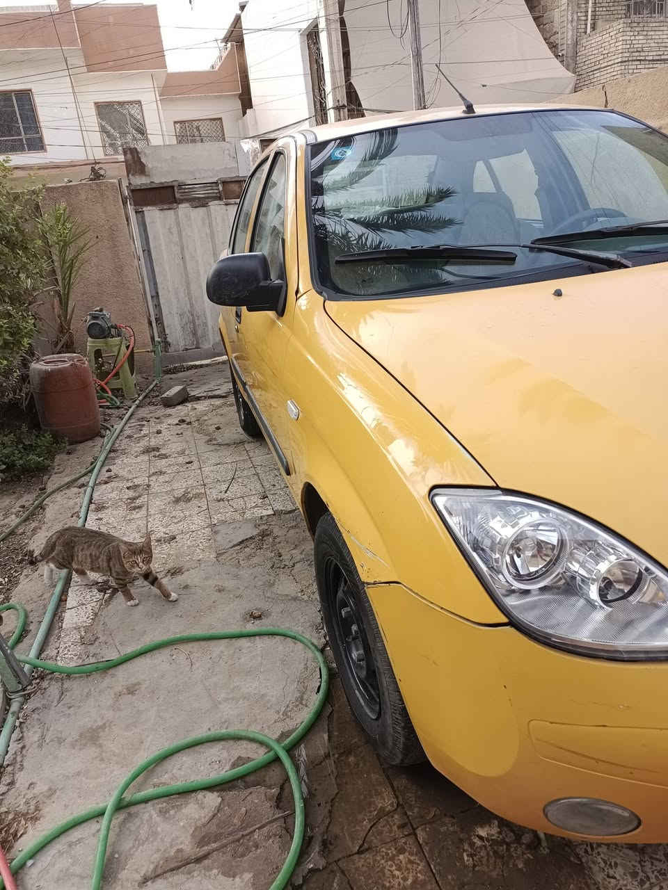 طيبه • ٢٠١٥ • بدون صبغ