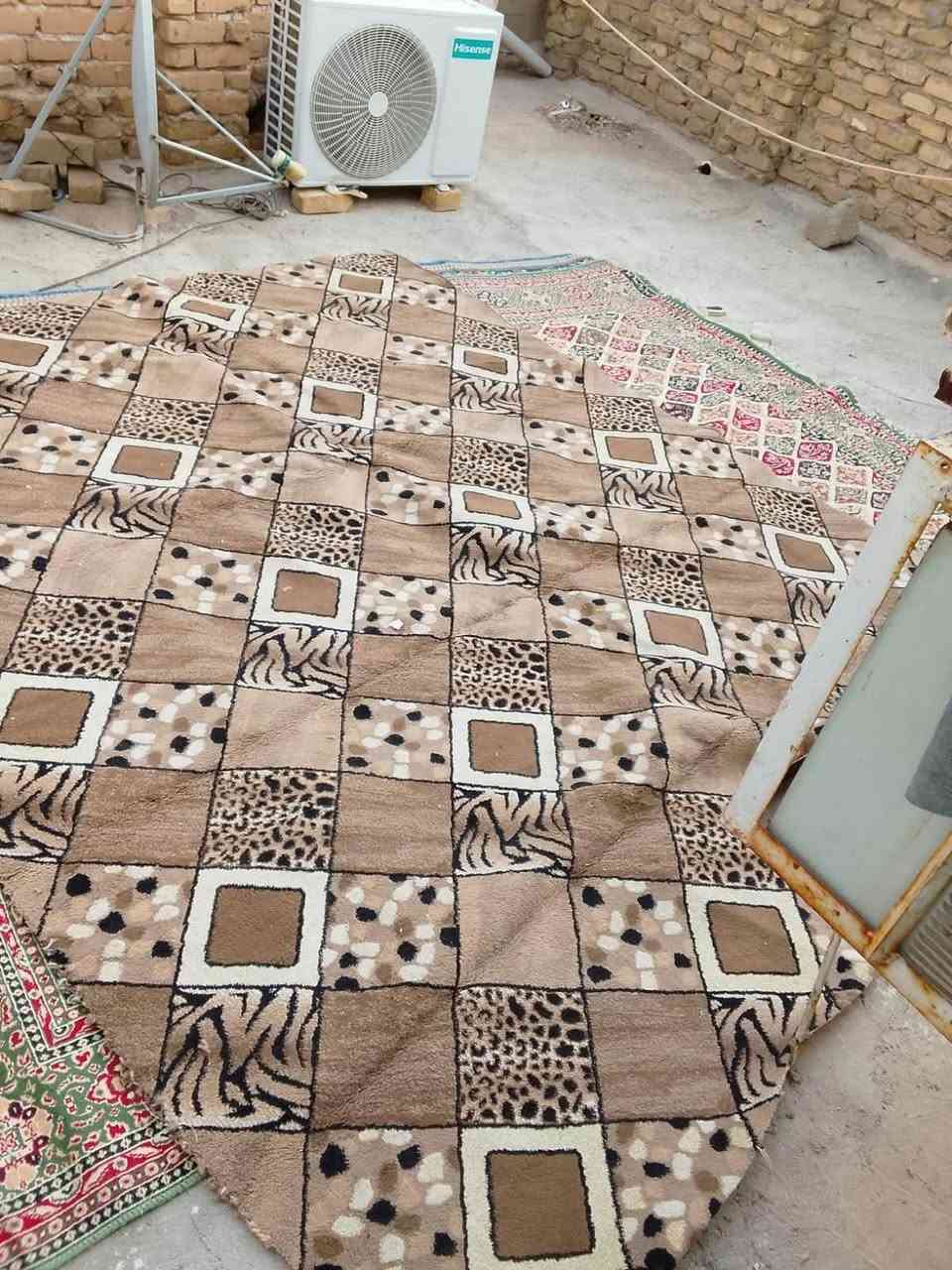 سجاد • هايسنس