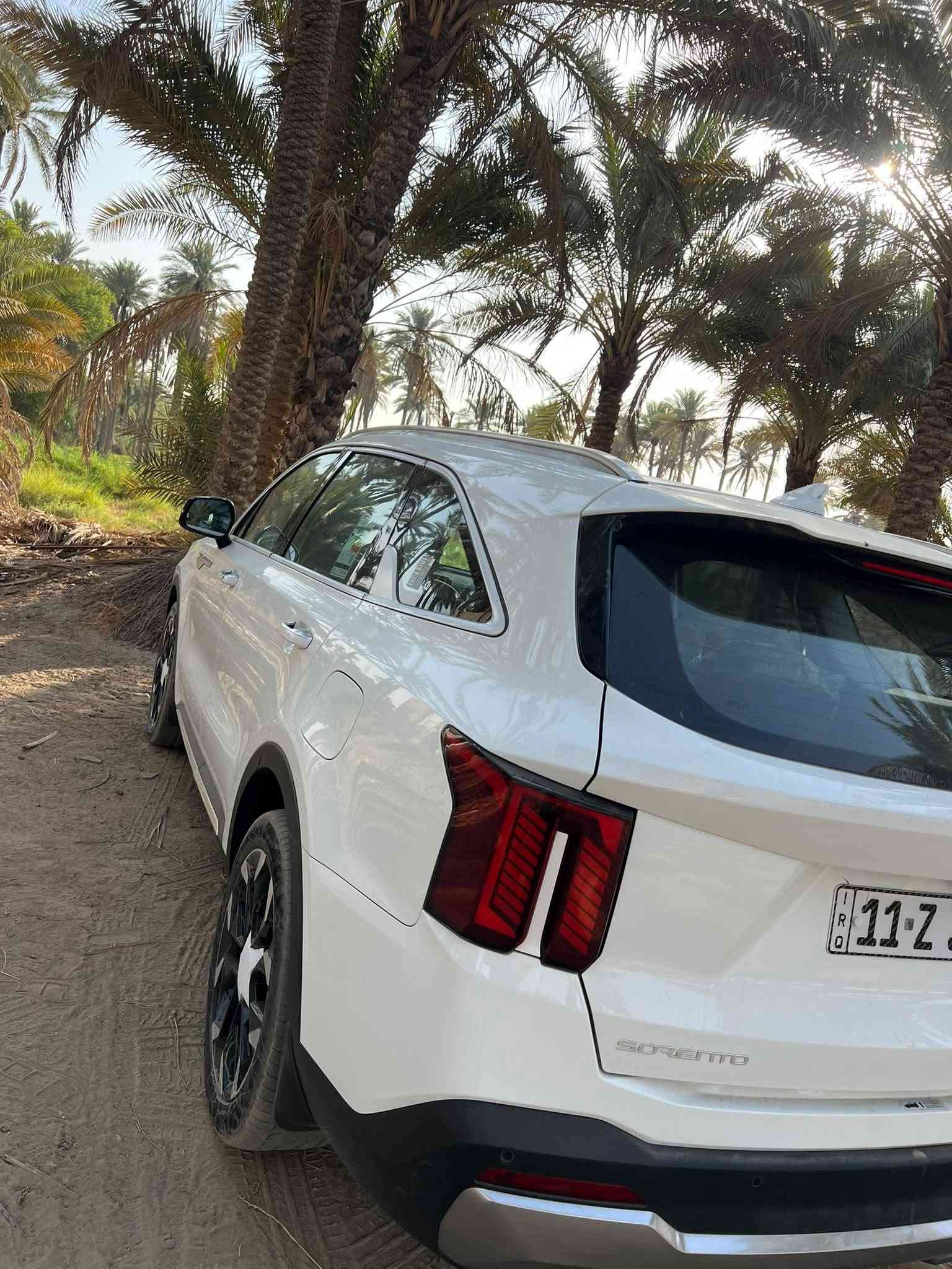 سورنتو 2025  خليجي 6 سلندر. 7 راكب. ماشيه (25) 
بانرما بصمه كشنات جلد تدفئه تبريد شاشه متصل ويل 20  جنطه كهرباء تبريد 3 قطع  كير موس  شحن لاسلكي مخرج شحن للكشنات الخلفيه وبيه بعد هواي مواصفات بيه تكحيل بالجنطه اثر رصعه او ما شابه شي بسيط  المكان حله مركز *********** السعر 315 وبيه مجال
