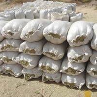 تبن جت • درجة أولى • ١٠٠ كيس