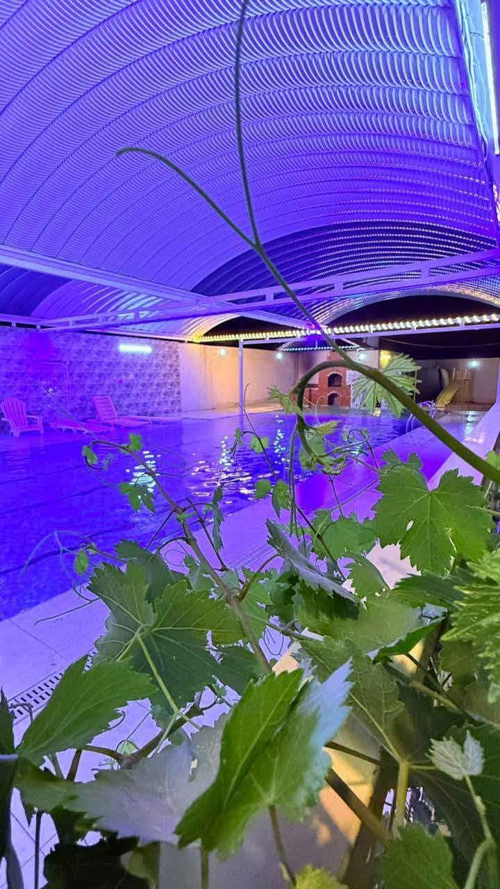 مزرعة رقم ☆116☆ بلد 

تتكون المزرعة🏡
مسبحين للكبار والصغار ☆ طول ١٤ م☆ مظلات للمسبح💦
تصميم جميل مع نافورات✅
غرف نوم عدد ☆٢☆
مطبخ عدد ☆١☆
صاله كبيرة مؤثثة بالكامل مع شاشة بلازما
كوخ خشبي مع جلسة عربية✅
مجمع صحيات عدد ☆٢☆
حدائق متعددة🌳
الالعاب منضدة فيشه بليارد🎮
 العاب اطفال🛝
كراج للمزرعه كبير✅ 
كهرباء ٢٤ ساعه✅
إنارة المزرعة جيدة جدا💥
باربيكيو متكامل مع تنور▪
جلسات متعددة للاستراحة♦
بستان فواكه🌴
للحجز واتساب 
💚***********💚
💚***********💚
رابط تطبيق ومنصة المصطفى
https://almustafa.bookifyiq.com/catalog
تطبيق المصطفى ينصح الزبائن عند مراسلة اي رقم من ارقام موظفين التطبيق ان يكون لديكم  ماستر مبلغ التثبيت حاضر لا ان تراسل وتطلب تثبيت الحجز على يوم غدا التثبيت يكون بنفس اللحظة من التطبيق لكي تضمن ان يكون الحجز لك وبنفس المزرعة التي طلبتها ...عبي الماستر وراسل الموظفين موجوده مزارع كل العراق..
اقل استلام للعربون♦100ألف♦
