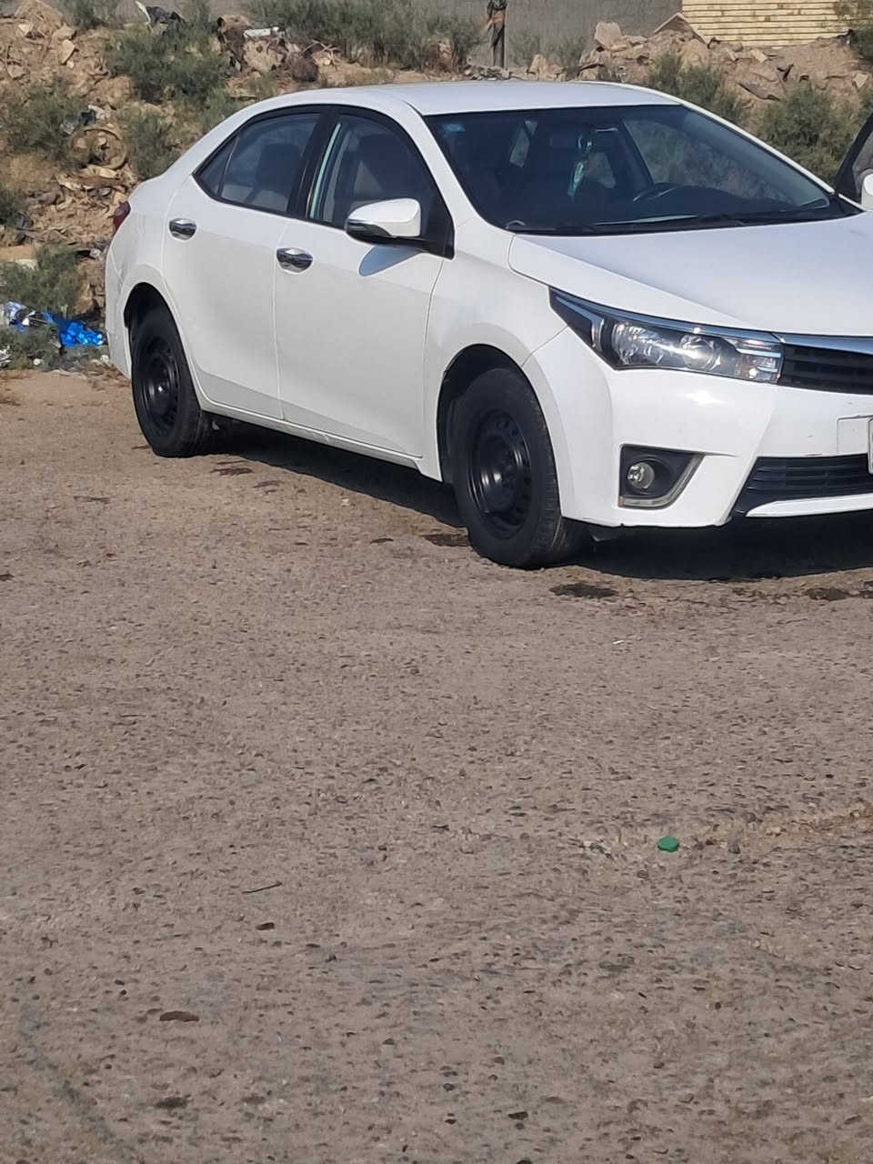 كورونا • ٢٠١٥ • خليجي