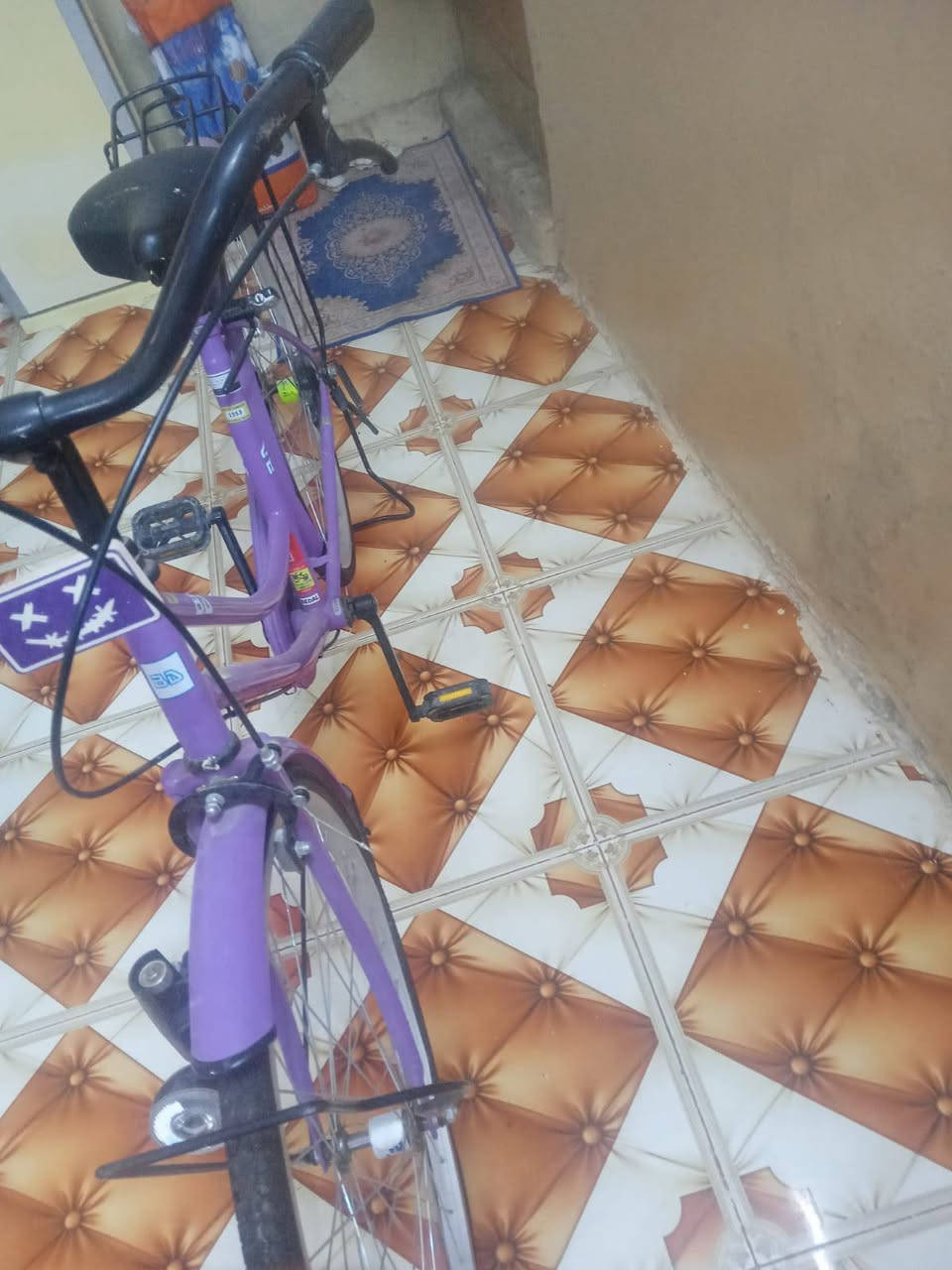 بسكليت • جديد • اسبوع