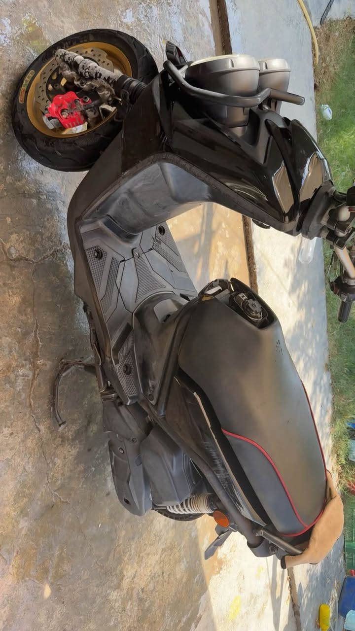 سكنس جبلي للبيع ***********
