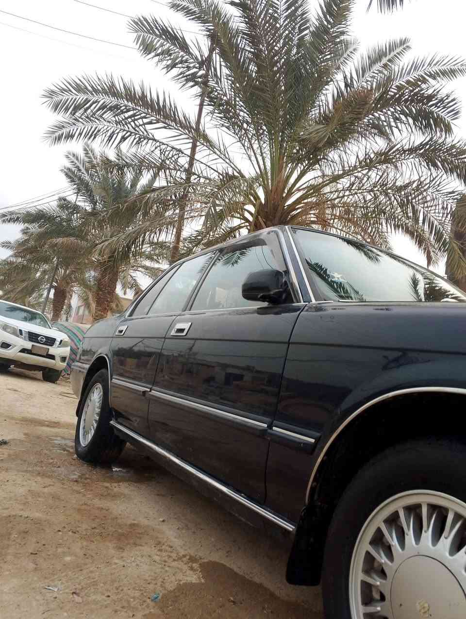 سلام عليكم أرنب للبيع طويل سياره كفاله من القص ونقل تخم تاير حداديه تبريد رقم بصره مكانها بزبير رقم ***********
