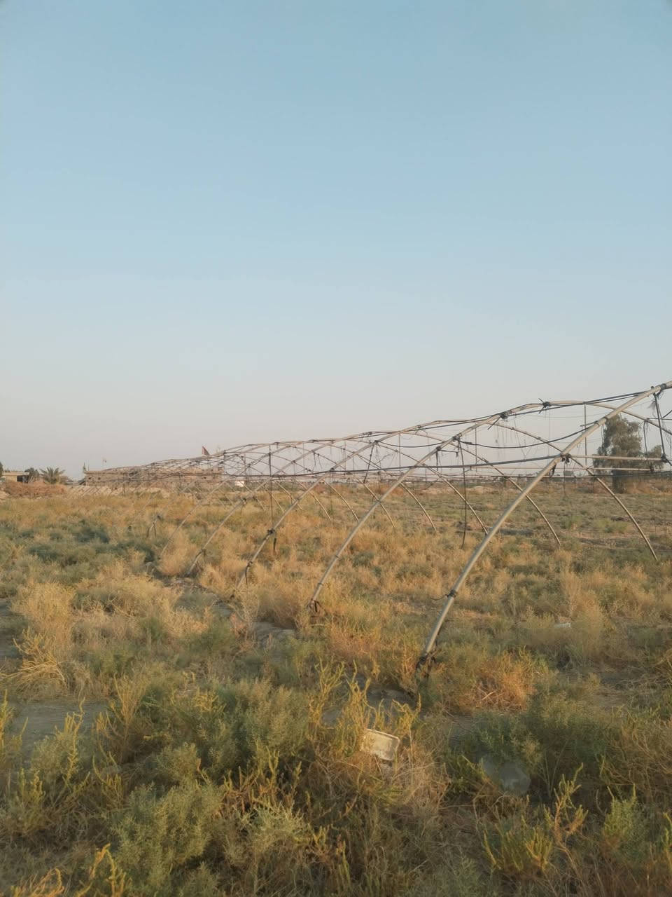 للبيع
بيت بلاستك عراقي ١٩ حنيه نظيف
السعر خاص
***********
